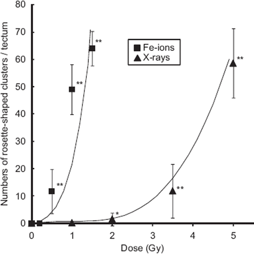 Figure 2. Dose-response curves for the number of rosette-shaped clusters of apoptosis in the optic tectum induced by iron-ions or X-rays. The error bars show the standard deviations of the means. Significant difference is indicated with one or two asterisks at *P < 0.05 and **P< 0.01.