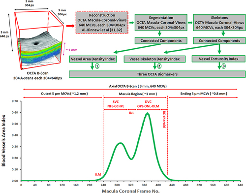 Figure 3 Method block diagram for generating OCTA graphs from OCTA scans and the BVAI graph of 90 normalsubjects.