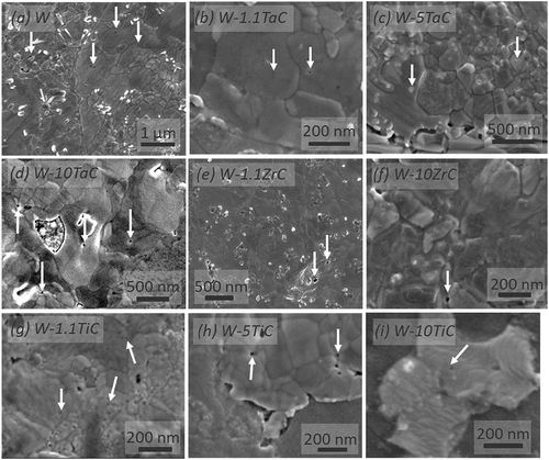 Fig. 2. SEM micrographs in as-indicated samples of the surface morphology post TDS. Surface pores and delamination can be observed and attributed to He release. White arrows indicate surface pores.