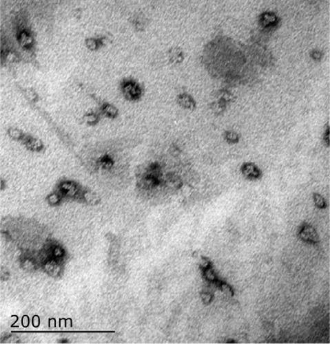Figure 1 Electron micrograph of nanoferromagnetic particles.