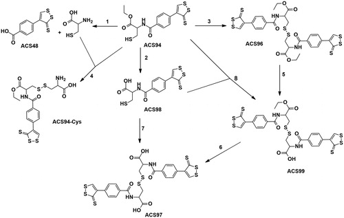 Figure 2. Scheme of the metabolic pathway of ACS94 leading to thiols (Cys and ACS98), symmetrical disulphides (ACS96, ACS97), asymmetrical disulphides (ACS94-Cys and ACS99).