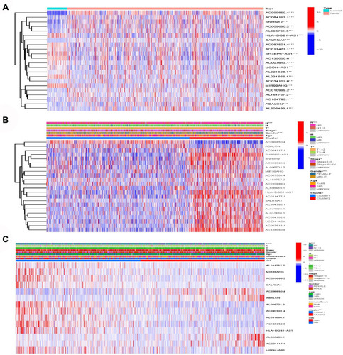 Figure 7 Model lncRNA differential expression. (A) AC099850.4, SNHG12, ABALON, AC084117.1, AC009690.2 and AL096701.3 were significantly high expression in lung cancer patients. (B) AC099850.4 and ABALON were significantly highly expressed in cluster 1. (C) AC099850.4, ABALON, AL606489.1 and AC084117.1 were highly expressed in high-risk group.