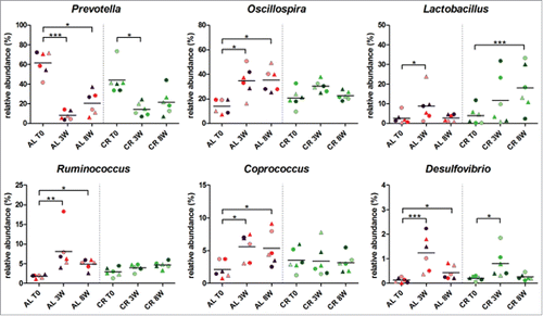 Figure 4. Relative abundance variation of genera in young rats fecal microbiota after 8 weeks of ad libitum (AL) or caloric restriction (CR) diets. Only genera with a relative abundance > 1% in at least one time point and significant variation at 8 weeks are represented. Each dot represents a different sample, with the same combination shape-color indicating the same rat. Samples were evaluated 1 week before treatment (T0) and after 3 weeks (3W) and 8 weeks of treatment (8W). Asterisks indicate significant difference (*P < 0.05, **P < 0.01, ***P < 0.001) within AL and CR groups between different time points.