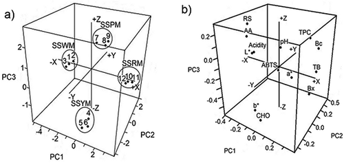 FIGURE 2 Three-dimensional plots of the principal components PC1, PC2, and PC3 for (a) scores of the samples; (b) loadings of the variables. SS: Stenocereus stellatus; W: white; Y: yellow; P: purple; R: red.