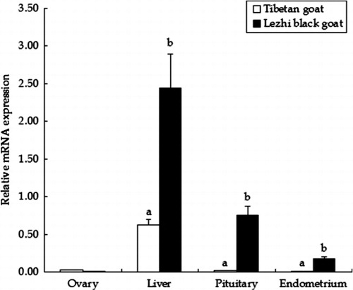 Figure 1. PRLR mRNA expression in ovary, liver, pituitary, and endometrium of the Tibetan goat and Lezhi black goat (n = 6), as determined by real-time PCR. Values are normalized with the values for β-actin and are expressed as mean ± SEM (standard error of the mean). Different letters in the same tissue indicate the difference between breeds (P < 0.05).