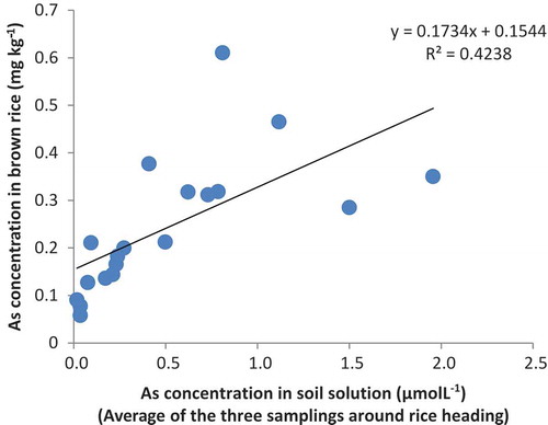 Figure 3. Relationship between arsenic (As) in soil solution and that in brown rice (Oryza sativa L.).