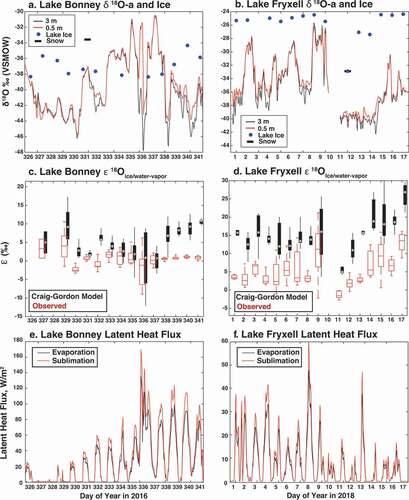 Figure 5. (a), (b) Normalized δ18O-a values at 0.5- and 3-m heights, as well as lake ice surface values, at Lake Bonney (LB) and Lake Fryxell (LF). Data presented are raw isotope data at each height normalized using equations available through Supplemental Material (S2). At Lake Bonney, there was a significant föhn wind event on day 336 and at Lake Fryxell, a small snow event on days 9 to 10. (c), (d) Red box and whisker plots showing calculated values of ε18O (εIce/Water-Vapor) of the observed δablation at Lake Bonney and Lake Fryxell, using EquationEquations (2)(2) Rvapor=MO18,Height1−MO18,Height2qHeight1−qHeight2,(2) –(Equation6(6) 103lnαeq2HIce/Water−Vapor=24.844106T2−76.248103T+52.612,(6) ). Red lines in the εIce/Water-Vapor boxes are median values, and the top and bottom of the box represents the distribution between 75 and 25 percent of data points. For εCraig-Gordon boxes (black, offset), targets represent median values, and while the top and bottom of the box represents the distribution between 75 and 25 percent of modeled data points. (e), (f) Latent heat flux for Lake Bonney and Lake Fryxell, calculated for 100 percent sublimation and 100 percent evaporation end members, using Equations (10)–(14).