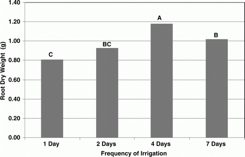 Figure 5.  Total dry root mass in a 7.5-cm diameter pot of creeping bentgrass under daily, 2-, 4-, and 7-day irrigation frequencies in the second of two experiments. Each bar represents an average of four replicates at two different irrigation rates 100% and 75% of open pan evaporation for a total of n=8. Bars with different letter are significantly different at alpha=0.05.