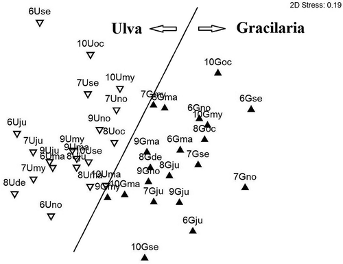 Figure 4. Ordination plot of epifaunal assemblages. Point acronyms: year (7: 2007; 8: 2008; etc.); site (G and U), and time (ma: March; ju: June; etc.) of sampling (black triangle: Gracilaria vermiculophylla; white triangle: Ulva rigida).