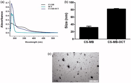 Figure 3. Physicochemical characteristics of CS-MB-OCT nanoparticles. (a) The CS-MB, OCT and CS-MB-OCT absorption spectrum. (b) The mean size of CS-MB and CS-MB-OCT (n = 3). The data were displayed as mean ± standard deviation. (c) TEM images of CS-MB-OCT. Scale bar =100 nm.