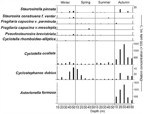FIGURE 6. The diatom concentration from selected depths in the water column of the north basin for four seasons: winter 2010, spring—autumn 2011.