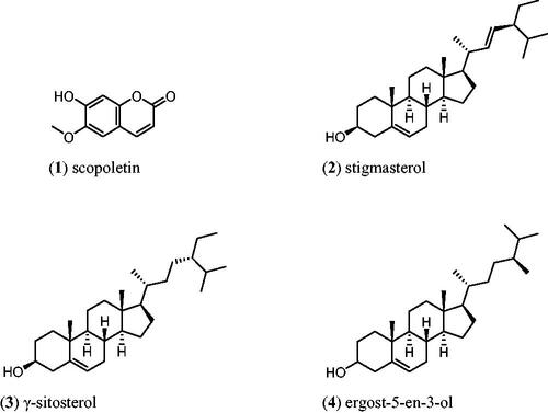 Figure 1. The chemical compounds found in Paederia foetida.
