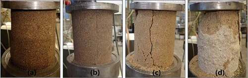Figure 5. Typical failure characteristics of reinforced specimens after the UCS test: (a) 4 wt% beet molasses, (b) 2 wt% rinsing water from jam production, (c) 2 wt% filter concentrate and (d) 2 wt% milk permeate powder.