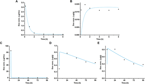 Figure 3 Observed and simulated doxorubicin concentration-time profiles following intravenous administration of free doxorubicin. Overlay between the predicted and the observed concentrations in (A) plasma and (B) brain observed by Gulyave et alCitation25 and in (C) plasma, (D) brain, and (E) tumor observed by Siegal et al.Citation24