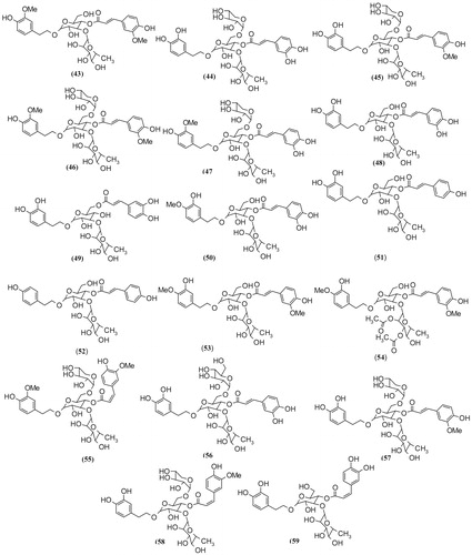 Figure 4. Phenylethanoid glycosides isolated from Scrophularia plants.