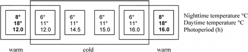 FIGURE 1. Experimental design (treatment combinations in six growth cabinets)