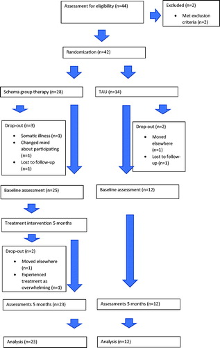 Figure 1. Flow chart of the study design.