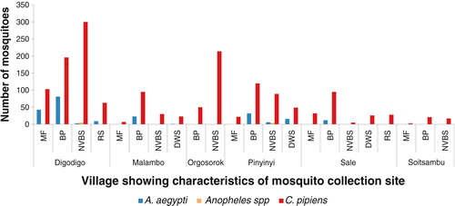 Fig. 3 Mosquito abundance in villages according to characteristics of the mosquito collection sites.MF=maize farm; BP=banana plantation; DWS=drinking water source; NVBS=no visible breeding site; RS=river site.