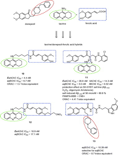 Figure 3. Ferulic acid hybrids possessing antioxidant and anticholinesteratic properties.