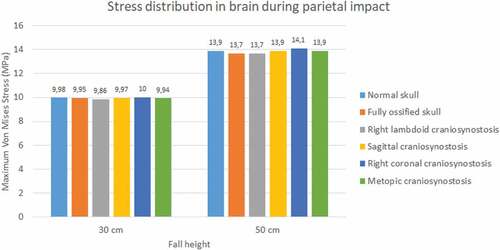 Figure 18. Maximum Von Mises stress in the brain during parietal impact from 30 and 50 cm falls with different degrees of ossification in the sutures