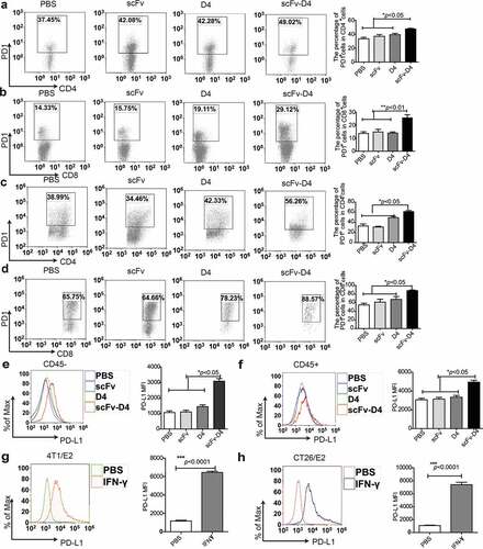 Figure 4. Targeting Ags to B cells promotes PD1 and PDL1 expression in the tumor microenvironment