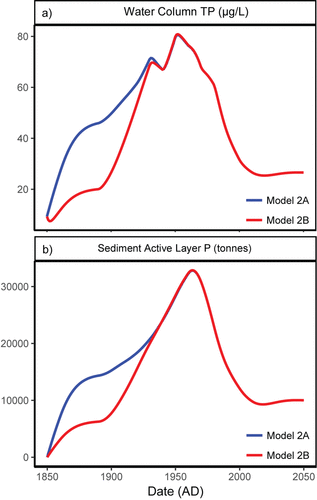 Figure 7. Output of Model 2, 1860–2050. Model 2B (blue line) is based on lower external inputs in presettlement times compared to Model 2A (red line; see text). Fig. 7a. Modeled water-column TP (µg/L) peaks in 1950–1960s with rapid water quality improvement after 1960s (blue line). Model 2B delays the rise of TP until 1900 (red line) but has no effect post-1960s. Stable TP levels are reached by 2015–2020 if modern external loads remain constant. Fig. 7b. Modeled P in the active layer of Lake of the Woods sediments. The active pool of P was greatest in the 1960s regardless of presettlement external load scenarios, and legacy P has been rapidly reduced since the 1960s. Model output suggests the active pool of sediment P is reaching a stable condition.