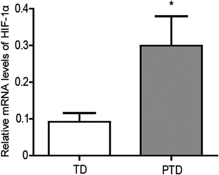 Figure 4. The mRNA levels of HIF-1α in placenta of PTD (n = 29) and TD (n = 29) by real-time PCR. Bars indicate the mean value ± SD. Asterisks indicate statistical significance (*P < 0.05). PTD, preterm delivery; TD, term delivery.