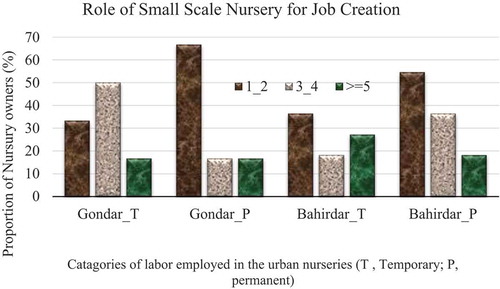 Figure 6. Temporary and Permanent labor in Bahir Dar and Gondar Nurseries.
