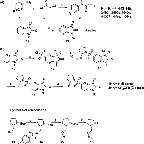 Scheme 1. (A) Synthesis route for A series. Reagents and conditions. a: CH2Cl2, Et3N; b: NaH, DMF (B) Synthesis route for B series. Reagents and conditions. a: ClSO3H; b: pyrrolidine or 16, Et3N, DMF, c: acetic acid; d: 9 or propargyl bromide, NaH, DMF, 0 ˚C; e: p-toluenesulfonyl chloride, pyridine; f: phenol, NaH, THF; g: TFA, CH2Cl2.