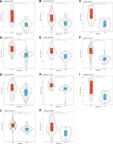 Figure 2 Violin plot of SSR1 expression in Hepatocellular Carcinoma based on 11 datasets downloaded from GEO database. (A) GSE115018. (B) GSE121248. (C) GSE29721. (D) GSE39791. (E) GSE41804. (F) GSE45436. (G) GSE55092. (H) GSE57957. (I) GSE60502. (J) GSE76427. (K) GSE89377. (**P <0.01, ***P <0.001, ****P<0.0001).