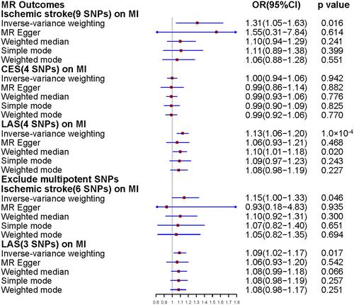 Figure 2 Mendelian randomization analysis of ischemic stroke and its subtypes for the risk of myocardial infarction.