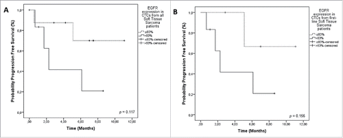 Figure 2. Progression-Free Survival (PFS) in relation to EGFR staining on CTCs from sarcoma patients. A) PFS of all patients included. EGFR expression in STS patients (> 83% = positive EGFR staining on CTCs 2.2 months); ≤ 83% = negative EGFR staining on CTCs (NR) (p = 0.117). B) PFS including only patients treated in first line. EGFR + CTCs was 2.2 months versus NR, for EGFR- CTCs (p = 0.156). Notes: Dotted line: patients without expression of EGFR. Continuous line: patients with expression of EGFR. NR = not reached.