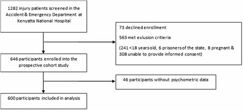 Figure 1. Study screening and enrollment flowchart.
