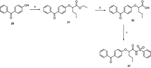 Scheme 3. Reagents and conditions: (a) ethyl 2-bromovalerate, sodium, absolute ethanol, reflux, 20 h; (b) 2N NaOH, THF, r.t., 24 h; (c) benzenesulphonamide, EDC, DMAP, dry dichloromethane, 0 °C-r.t., 24 h.