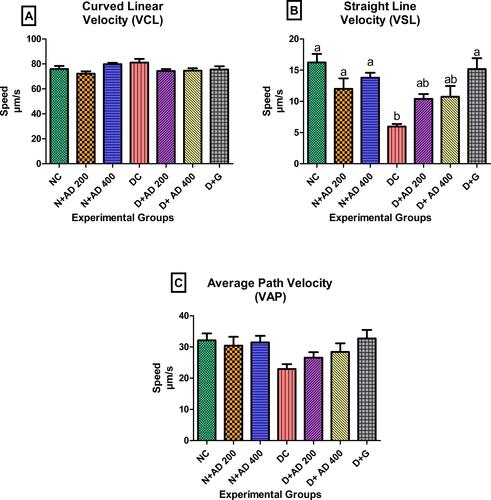 Figure 7 Effect of AD administration on indices of sperm velocities; (A) VCL, (B) VSL and (C) VAP of spermatozoa in normal and diabetic rats. Bars are indicative of mean values ± SEM of group values. Bars with different letters are significantly (p<0.05) different from each other.