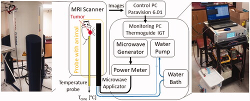 Figure 1. System setup for ex vivo as well as in vivo ablations with MRIT temperature monitoring.