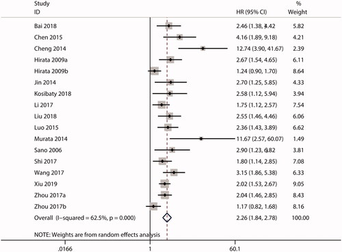 Figure 2. Forest plot of the combined HR for the relationship between ECT2 expression and OS in cancer patients. CI: confidence interval; HR: hazard ratio; OS: overall survival; ECT2: epithelial cell transforming sequence 2.