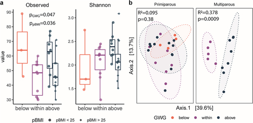 Figure 5. Parity modulates impact of GWG on infant gut microbiota. a, box plots of alpha diversity by gestational weight gain (GWG) category in primiparous participants (n = 24) and multiparous participants (n = 13). Alpha diversity (observed ASVs) was significantly increased by GWG above the recommended range (p = .034) in infants of participants with pBMI < 25. Significance assessed by a linear model (Kenward – Roger d.F.), with GWG category as a fixed effect. The box plot center line represents the median; the box limits represent the upper and lower quartiles; the whiskers represent the 1.5× interquartile range; the points represent the outliers. b, PCoA of Bray-Curtis distances shows clustering by maternal GWG category in infants of multiparous participants (R2 = 0.378, p = .0009) but not in infants of primiparous participants (R2 = 0.095, p = .38)). Primiparous (below, n = 4; within, n = 7; above = 12); multiparous (within, n = 5; above, n = 8). Significance was assessed by PERMANOVA.