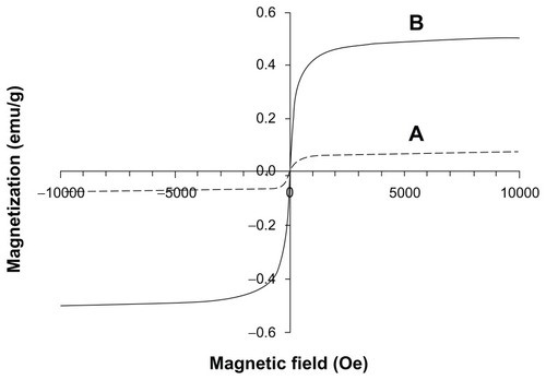 Figure 6 Magnetization curves at room temperature of the magnetic fibrin hydrogel scaffolds containing 0.15% (A) and 1.5% (B) γ-Fe2O3 nanoparticles. (A) represents the magnetic fibrin hydrogel scaffolds containing the thrombin-conjugated γ-Fe2O3 nanoparticles only; (B) represents the magnetic fibrin hydrogel scaffolds containing in addition to the thrombin conjugated nanoparticles also the bFGF conjugated γ-Fe2O3 nanoparticles.Abbreviation: bFGF, basal fibroblast growth factor.