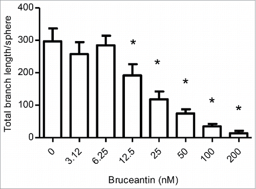 Figure 6. Effect of BCT on angiogenesis. Cultures were prepared and treated with vehicle control or increasing concentrations of BCT for 4 d to follow sprout evolution as described in Materials and Methods. The effect of BCT on the total branch length/sphere formed by HUVECs is displayed. Results represent the means ± SEM of at least 3 independent experiments. *Anti-angiogenic effect significantly different from vehicle control values as determined by a one-way ANOVA, followed by Dunett multiple comparison test (p < 0.05).