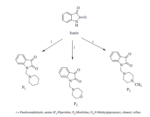 Scheme 1. Synthesis of isatin Mannich bases, P1–P3.