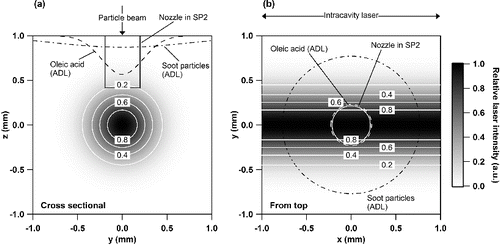FIG. 3. The overlap of the laser beam field with particle beam in the SP2 and SP-AMS: (a) cross sectional view (left); (b) overhead view (right). The laser beam propagates in the +x and −x directions along the x-axis, and the aerosol particles flow in the −z direction along the z-axis. The particle beams for SP-AMS were illustrated using the Gaussian sigma values for pure oleic acid (OL) and soot particles given in Huffman et al. (Citation2005).