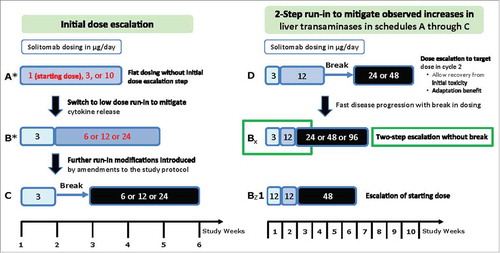 Figure 1. Treatment schema. Schedules A through C explored flat dosing and low-dose run-in schedules with and without a break in dosing. Treatment schedules D, Bx, and Bz1 explored various two-step run-in protocols with and without a break in dosing and optional extension weeks.