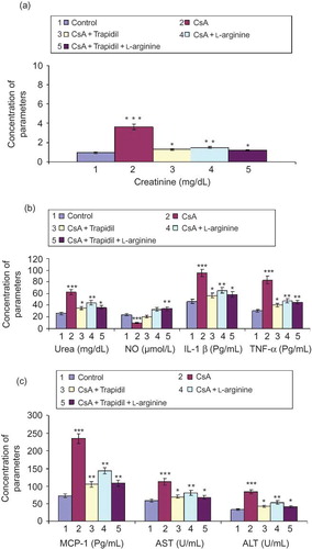 FIGURE 1. Effect of trapidil, l-arginine, and their combination on serum fractions of rats supplemented with 25 mg/kg CsA daily for 21 days *p < 0.05, **p < 0.01, ***p < 0.001 indicate the significance from the control.