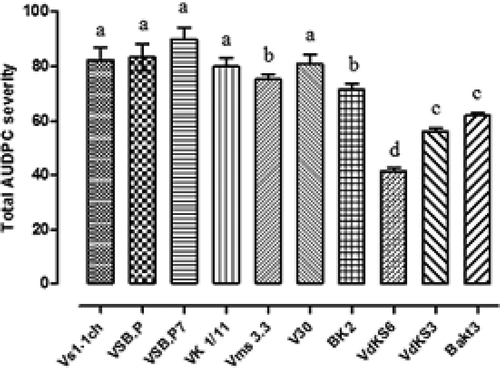 Fig. 3 Disease severity (DS) of V. dahliae isolates recovered from olive trees in Tunisia (histograms denoted by the same letter are not significantly different according to LSD test; α ≤ 0.05).