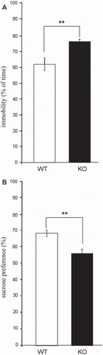 Figure 1. Depression-like behavior in GRPR-KO mice. A: Immobility (percentage of total time) in the forced-swim test. B: Sucrose preference rate (percentage) in GRPR-KO and WT mice. All data are depicted as mean ± SEM. **P < 0.01.