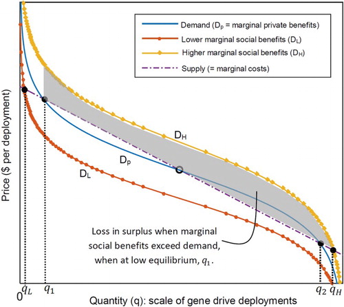 Figure 4. Equilibria and economic surplus for a stylized gene drive market with externalities causing a large divergence between social and private benefits.