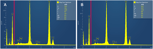 Figure 3 EDS spectrum of (A) eroded enamel surface and (B) mineralized eroded enamel surface with deposits of fiber-like crystals.