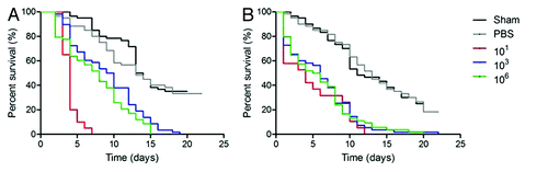 Figure 2. Log-Rank plots of the survival of G. mellonella after infection with different concentrations of H. capsulatum G184AR yeast cells. G. mellonella infected and incubated at (A) 25°C or (B) 37°C. Controls included uninfected larva (Sham) and larva injected with PBS. n = 60 larvae per group.