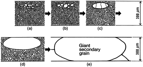 Figure 11. Schematic of cross-section of steel sheet showing nucleation and preferential growth of secondary recrystallized Goss grains in GO steel sheet [Citation26].